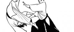 aikido-fortaleza-1358444863