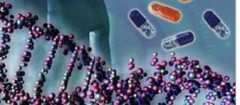 analise-de-dna-fortaleza-1358529740
