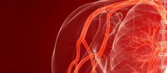 angiologia-fortaleza-1358529867