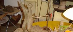 artistas-plasticos-fortaleza-1358430518