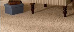 carpetes-fortaleza-1358424511