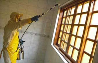 Aldan Dedetizadora - Foto 1