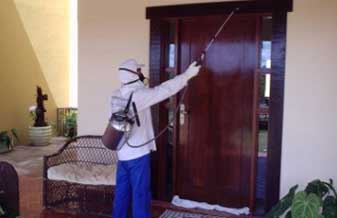 Osaka Descupinizadora e Dedetizadora - Foto 1