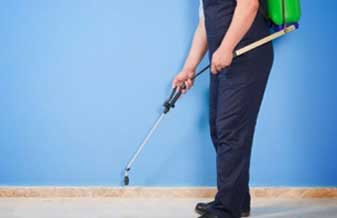 Dedetizadora Elimine - Foto 1