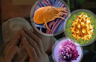 Fabiane Pomiecinski - Foto 1