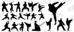 kung-fu-fortaleza-1358448144