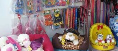 petshop-fortaleza-1358358162