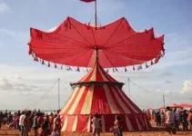 1º Simpósio Nordestino de Inventários Circenses