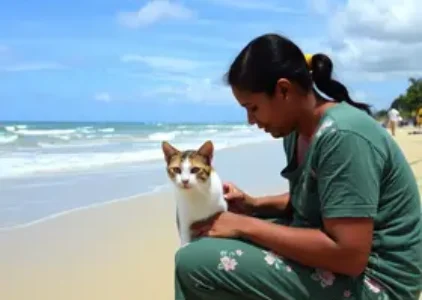 Últimas noticias de Fortaleza