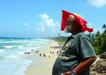 fim das bets