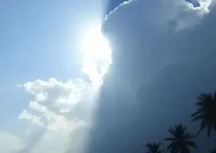 Últimas noticias de Fortaleza